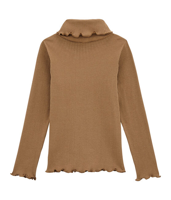 Dolcevita a maniche lunghe marrone BRINDILLE