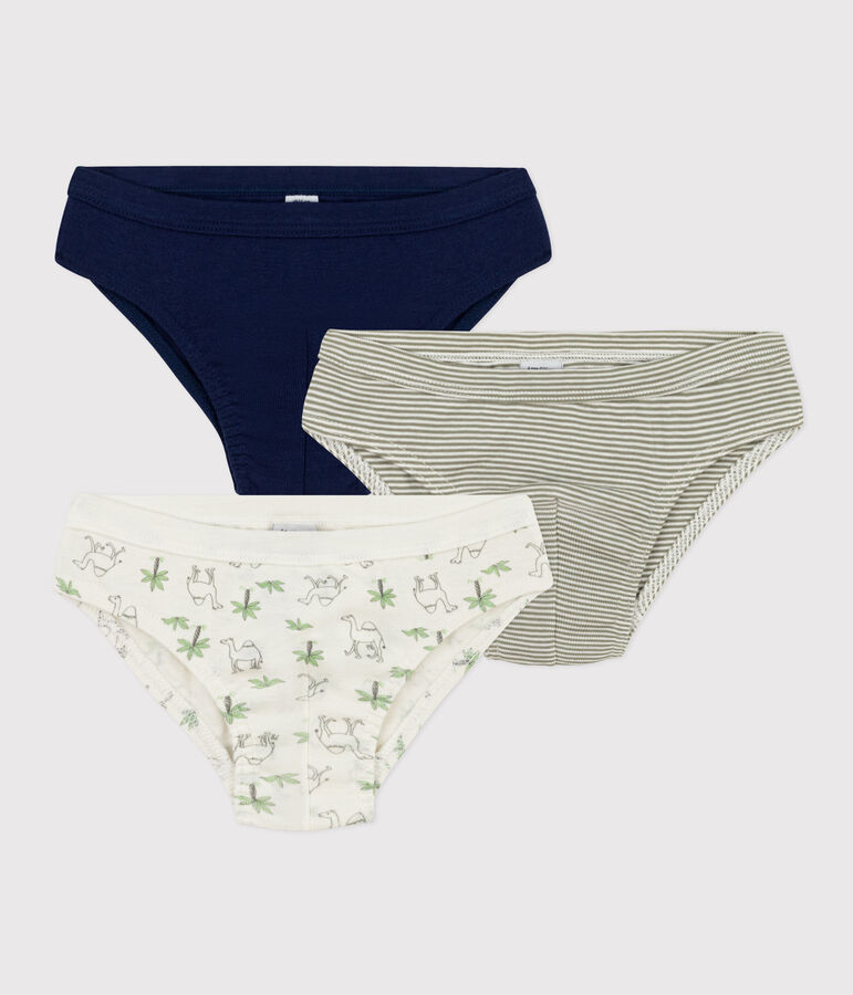 Confezione da 3 slip bambino in cotone con dromedari multicolore