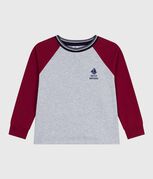 grigio FUMEE/ AMARANTE