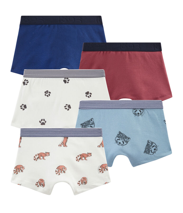 Confezione da 5 boxer bambino multicolore