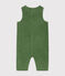 Tutina in velluto neonato verde PALMERAIE