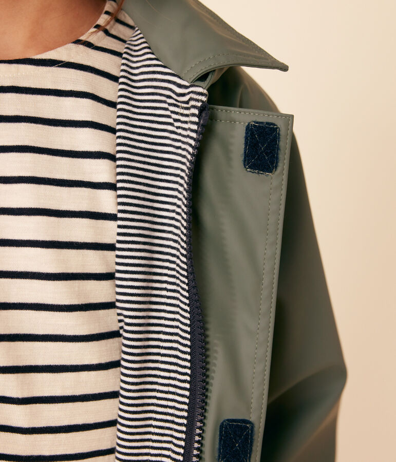 Cerata bambina verde