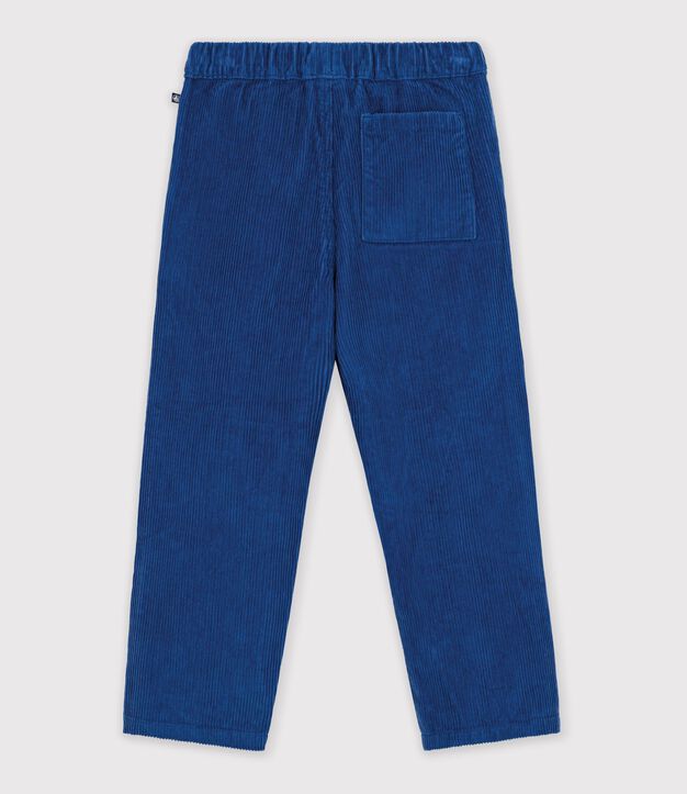 Pantaloni dritti in velluto blu