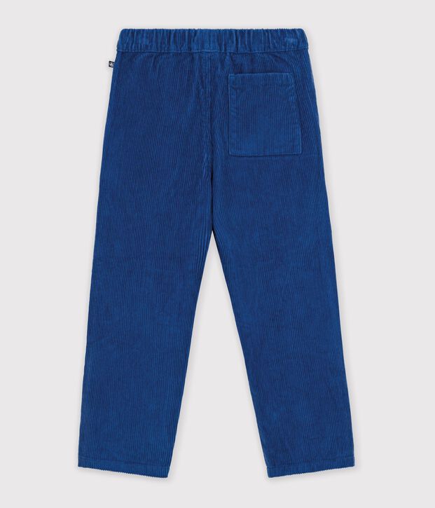 Pantaloni dritti in velluto blu