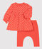 Abito leggings a pois bebè femmina in cotone biologico OURSIN/ ECUME