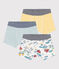 Confezione da 3 boxer esploratore in cotone bambino variante 1