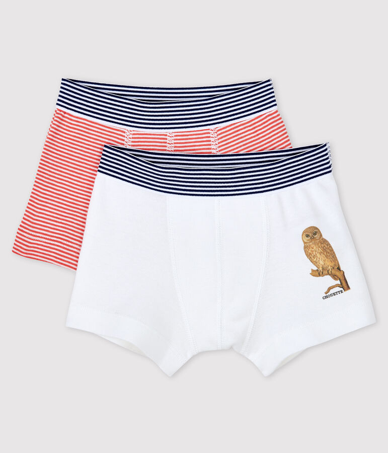 Confezione da 2 boxer bimbo Petit Bateau x Deyrolle multicolore