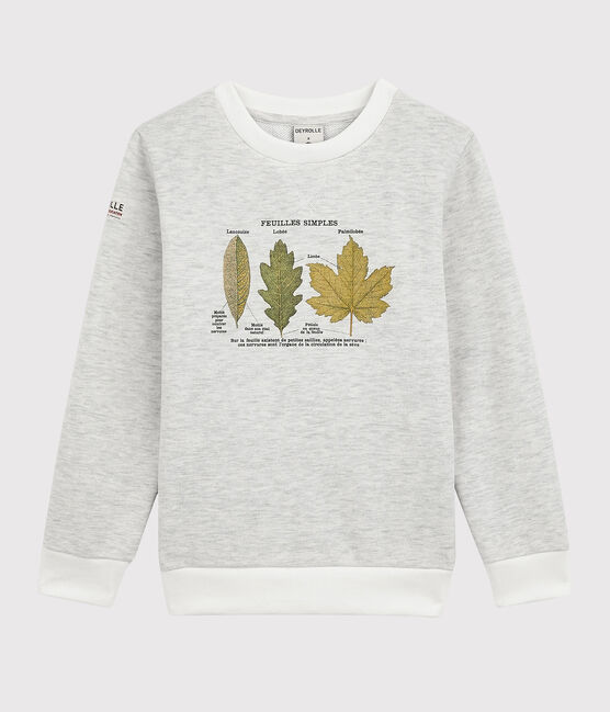 Felpa bambino Petit Bateau x Deyrolle beige MONTELIMAR CHINE