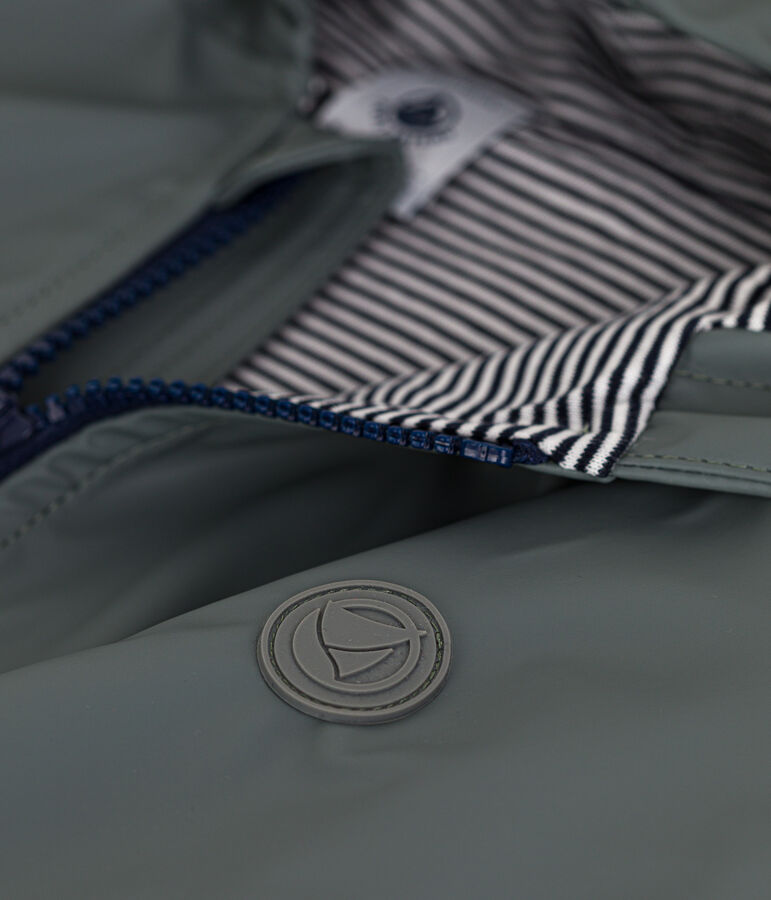 Cerata bambina verde