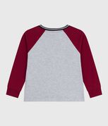grigio FUMEE/ AMARANTE