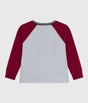 grigio FUMEE/ AMARANTE