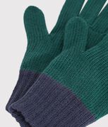 verde/blu