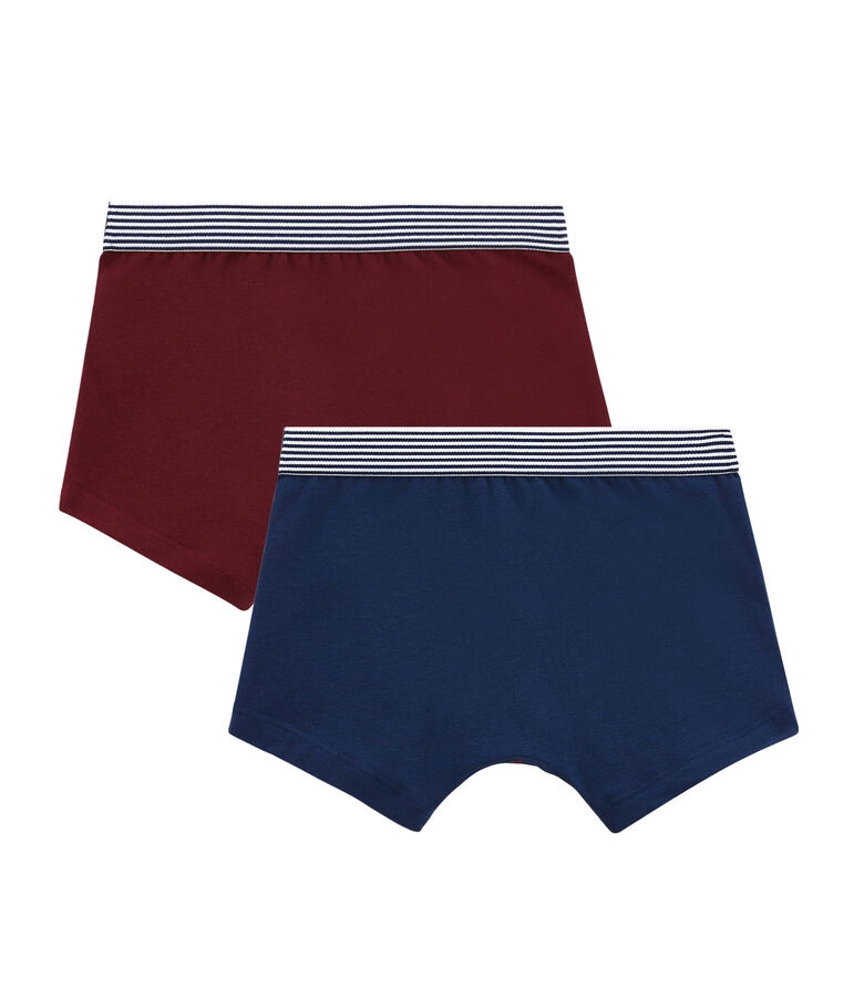 Lotto di 2 boxers per bambino multicolore