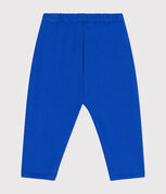 blu CALVIN