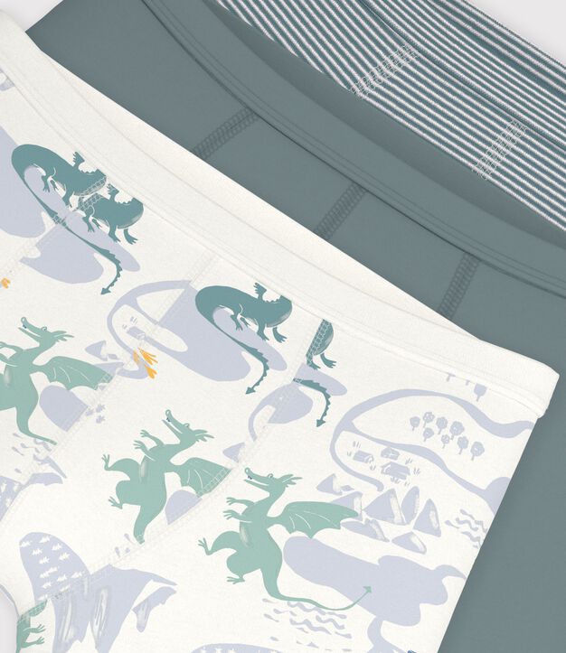 Set di boxer in cotone stampato con bordo in vita e stampa di draghi bambino multicolore