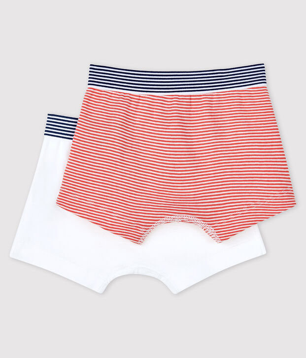 Confezione da 2 boxer bimbo Petit Bateau x Deyrolle multicolore