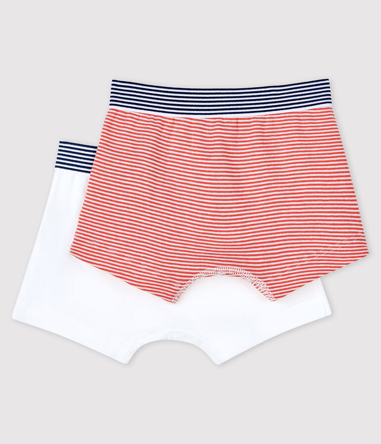 Confezione da 2 boxer bimbo Petit Bateau x Deyrolle multicolore