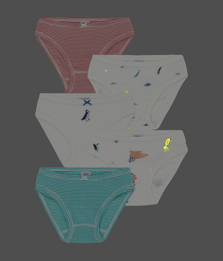 Set di 5 slip bambina in cotone multicolore