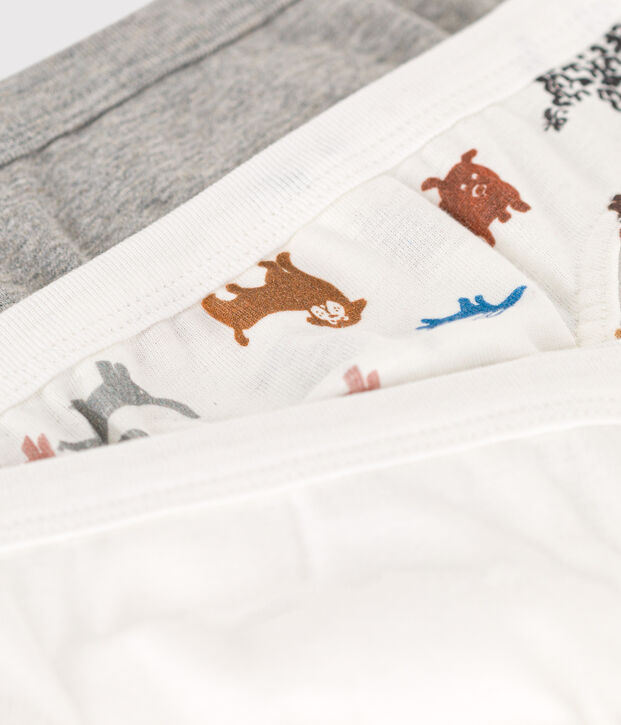 Confezione da 3 slip bambino in cotone motivo cane multicolore