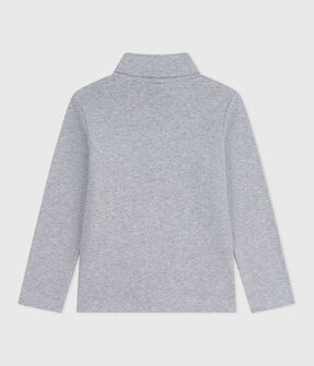 grigio FUMEE CHINE