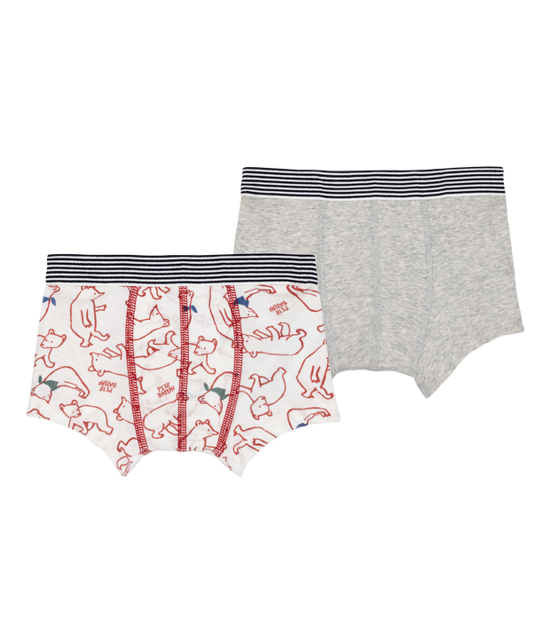 Lot de 2 boxers en coton multicolore