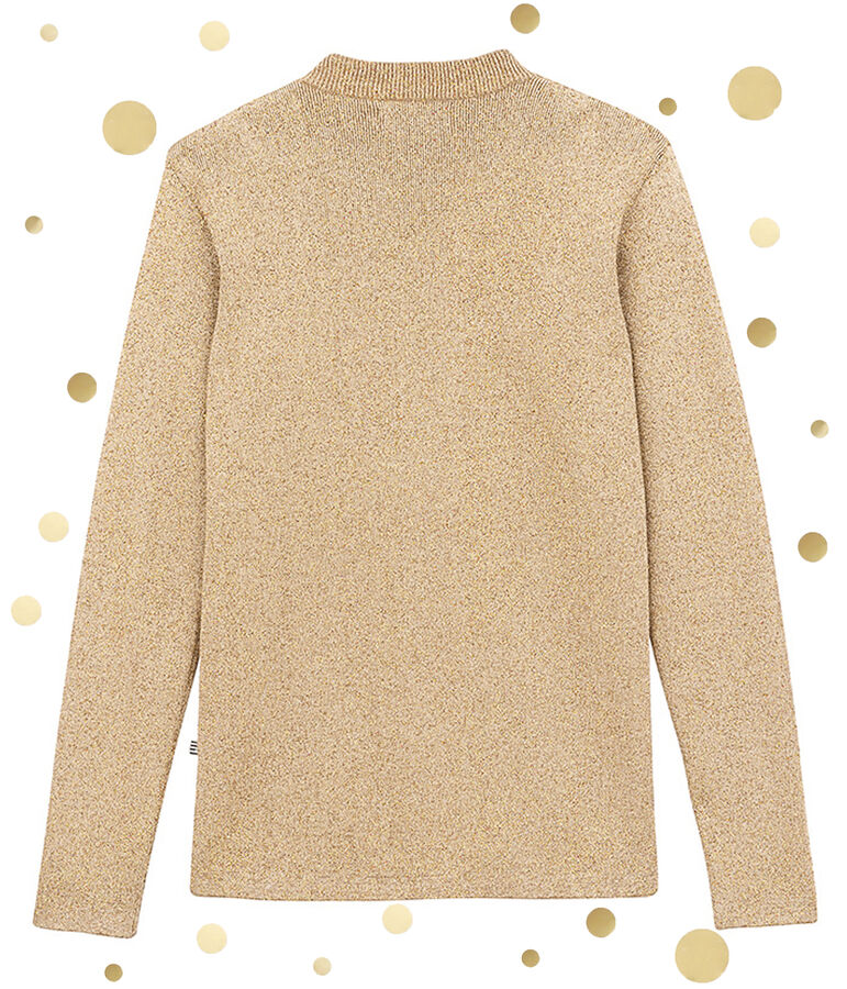 pull marin iconico donna marrone/giallo