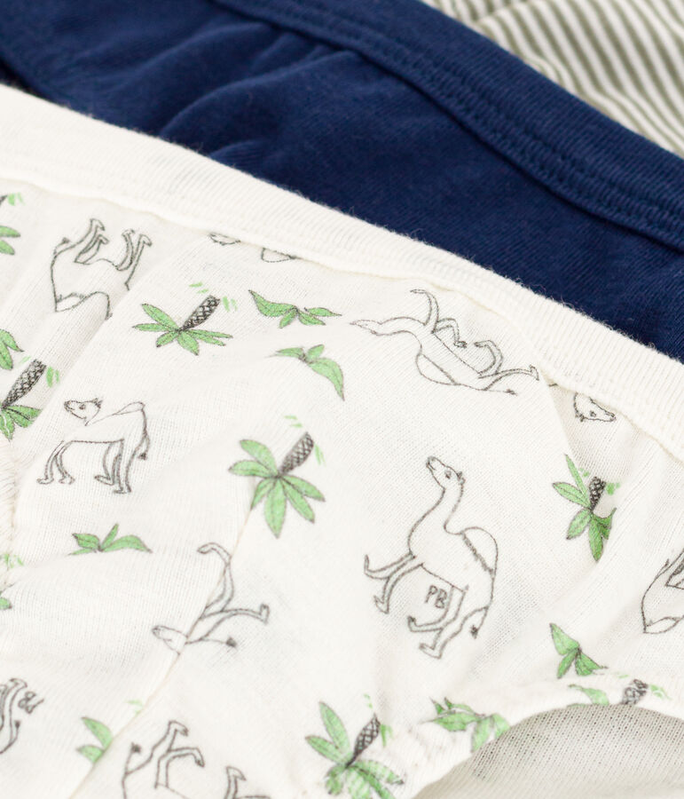 Confezione da 3 slip bambino in cotone con dromedari multicolore