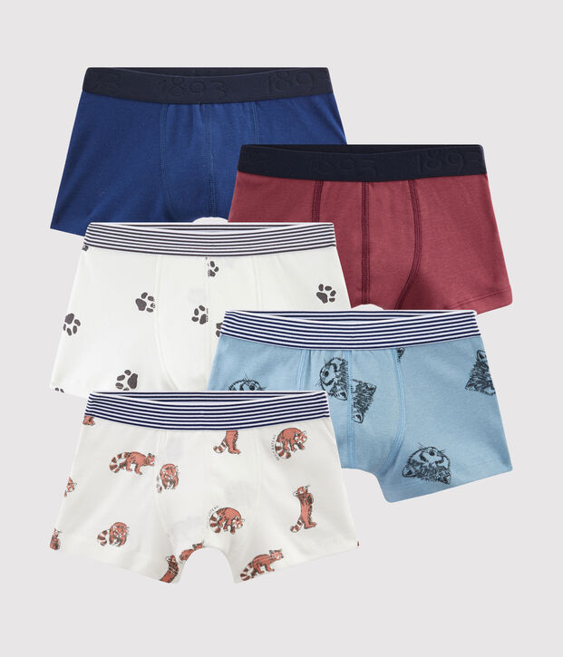 Confezione da 5 boxer bambino multicolore