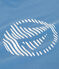 T-shirt a maniche corte in cotone con stampa bambino blu ALASKA