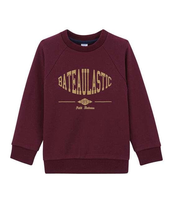 Sweat shirt enfant garçon viola OGRE