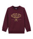Sweat shirt enfant garçon