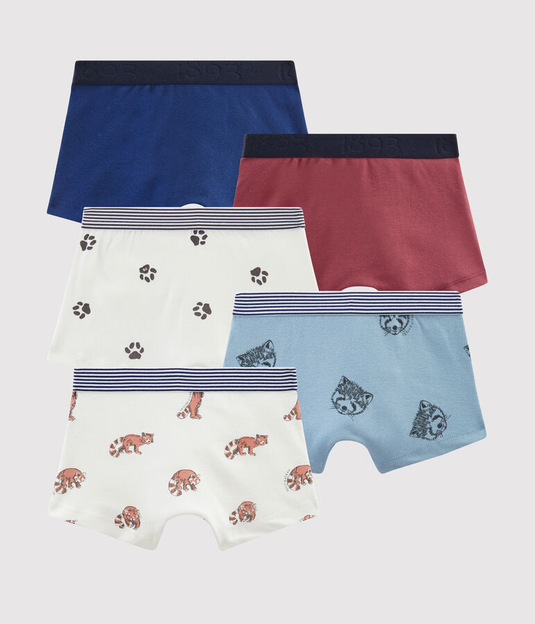 Confezione da 5 boxer bambino multicolore