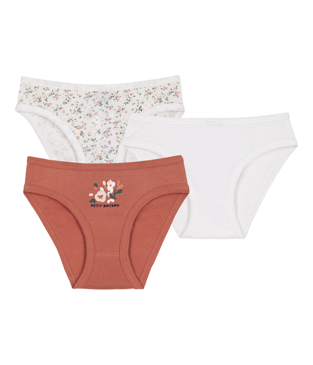 Lot de 3 culottes en coton multicolore