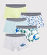 Confezione da 5 boxer gatti bambino