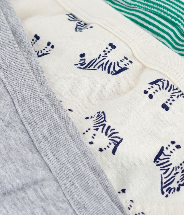Set di slip in cotone con stampa zebrata bambino multicolore