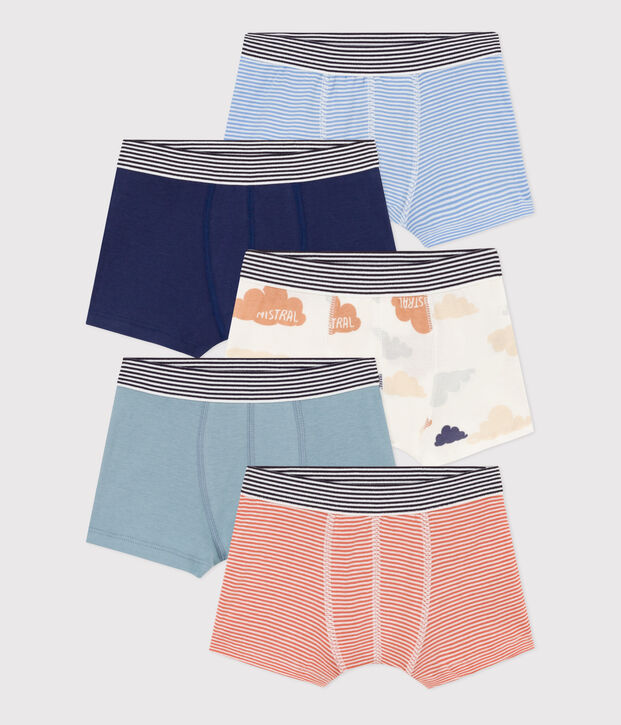 Confezione da 5 boxer in cotone bambino multicolore