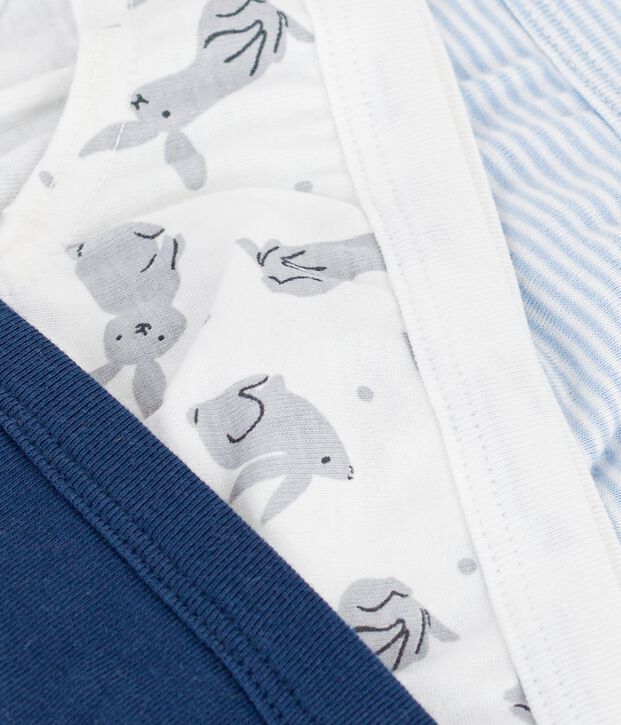 Lot de 3 slips en coton multicolore