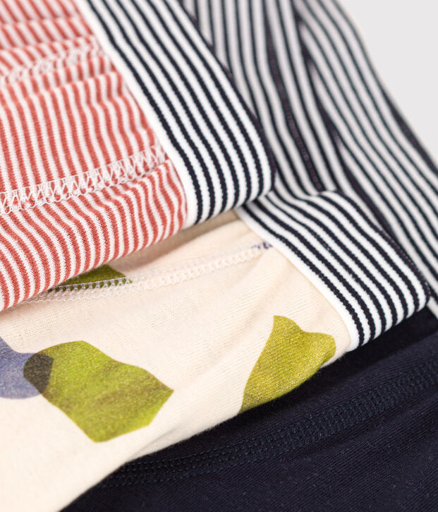 Confezione da 3 boxer in cotone bambino multicolore