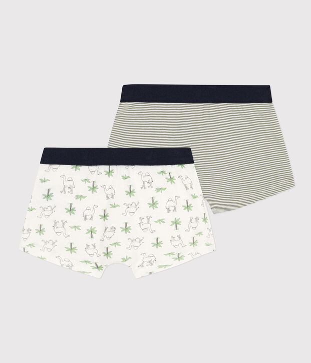 Confezione da 2 boxer dromedari in cotone bambino multicolore
