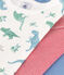 Set di 3 T-shirt bambino a maniche corte in cotone con dinosauri variante 1