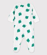 bianco/verde