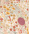 Piumino bambino unisex bianco AVALANCHE/ MULTICO