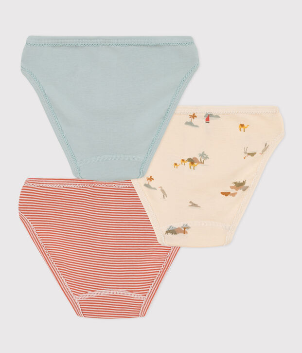 Confezione di 3 slip animali in cotone bambina multicolore