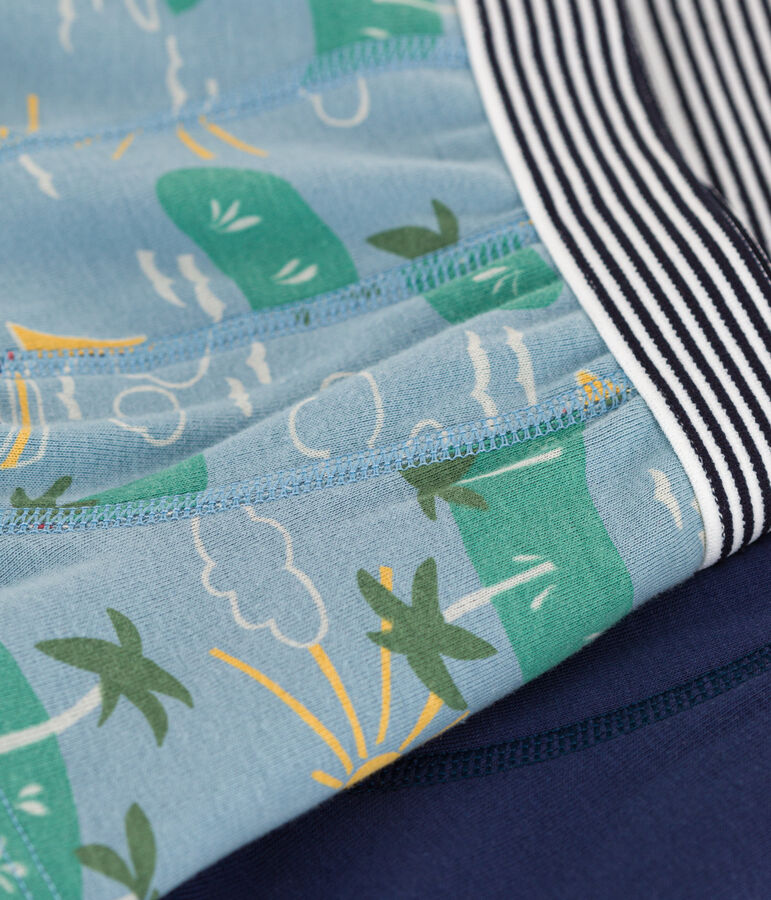 Confezione da 2 boxer esploratore in cotone bambino multicolore