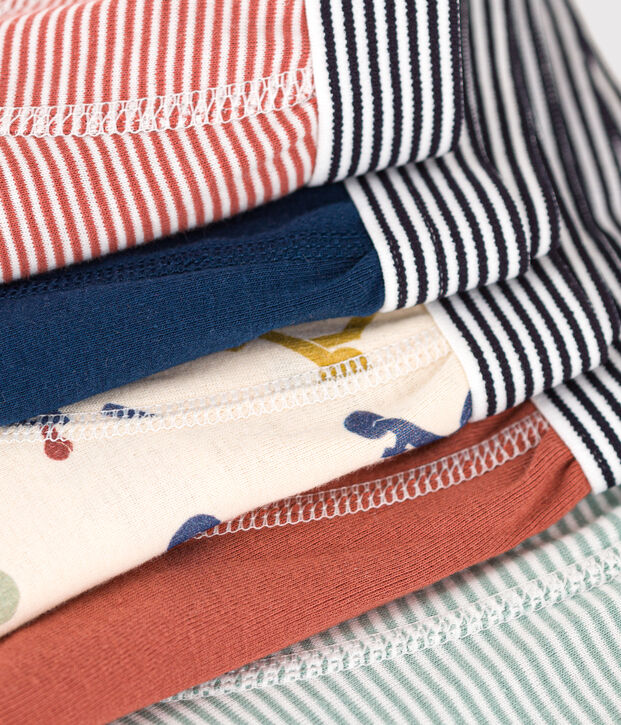 Confezione da 5 boxer con monopattino in cotone bambino multicolore