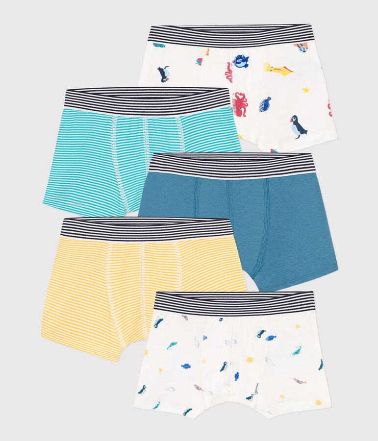 Confezione da 5 boxer in cotone bambino multicolore