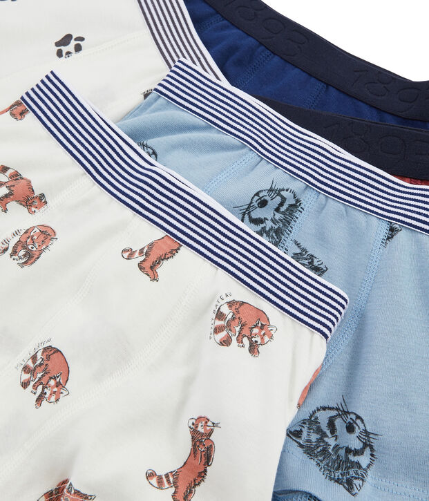 Confezione da 5 boxer bambino multicolore