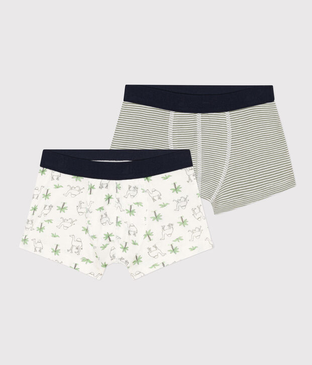 Confezione da 2 boxer dromedari in cotone bambino multicolore