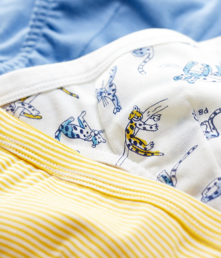 Confezione da 3 slip bambino fantasia pantere in cotone biologico multicolore