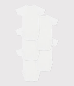 variante 1